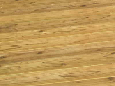 img_deck_02.jpg